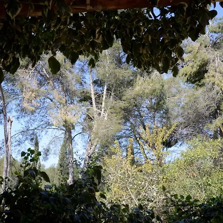 Mas Du Puech Cymbale Assas